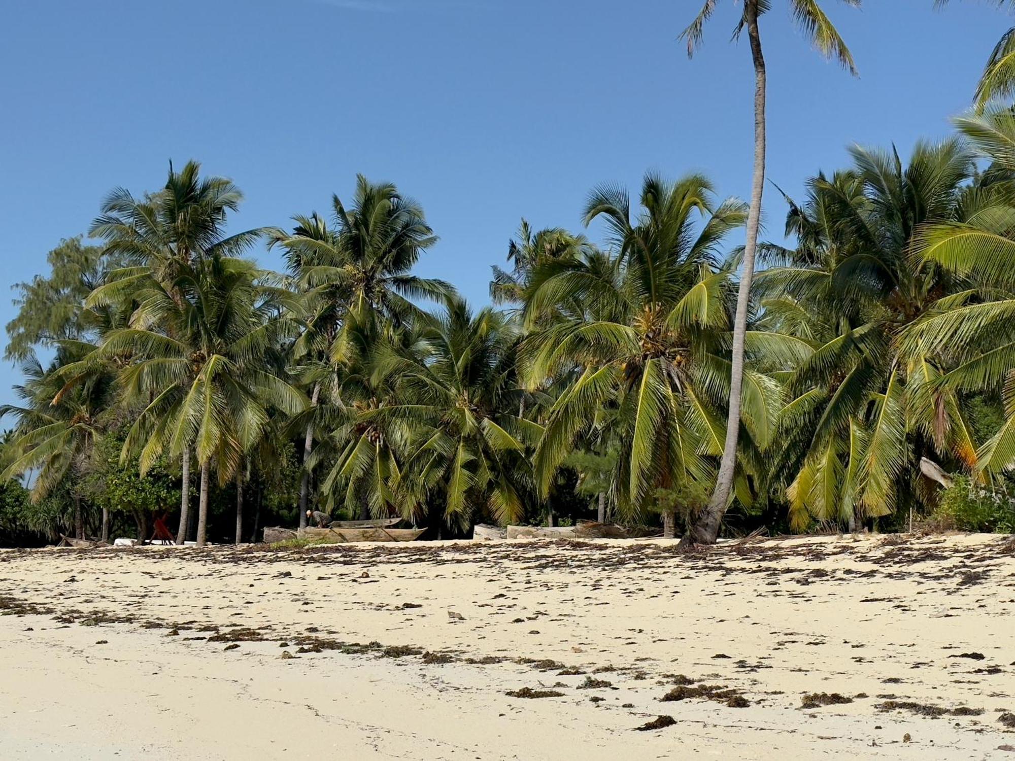 Juana Ocean Villas Makunduchi Luaran gambar